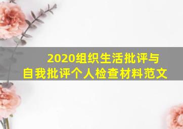 2020组织生活批评与自我批评个人检查材料范文