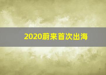 2020蔚来首次出海