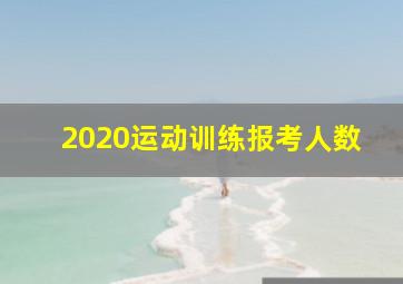 2020运动训练报考人数