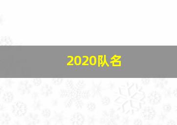 2020队名