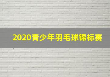 2020青少年羽毛球锦标赛