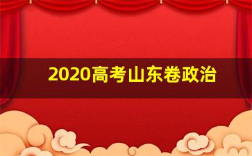 2020高考山东卷政治