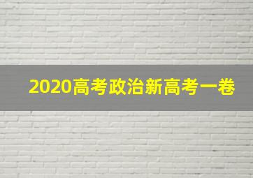 2020高考政治新高考一卷