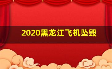 2020黑龙江飞机坠毁