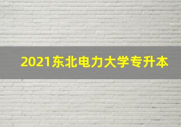 2021东北电力大学专升本