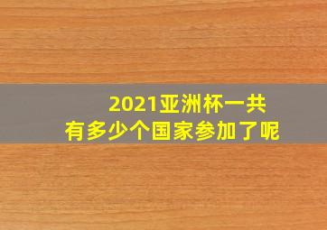 2021亚洲杯一共有多少个国家参加了呢