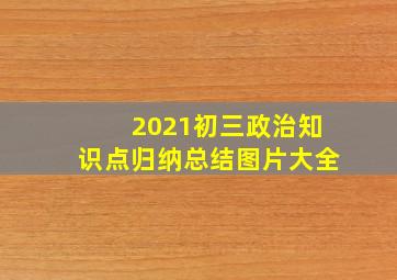 2021初三政治知识点归纳总结图片大全