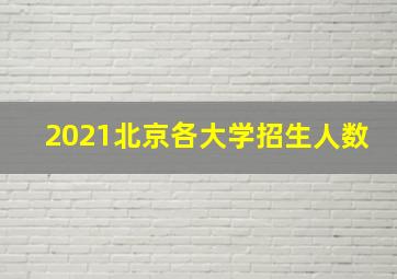 2021北京各大学招生人数