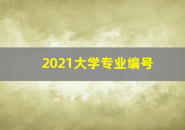 2021大学专业编号