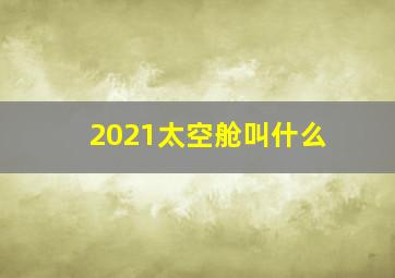 2021太空舱叫什么