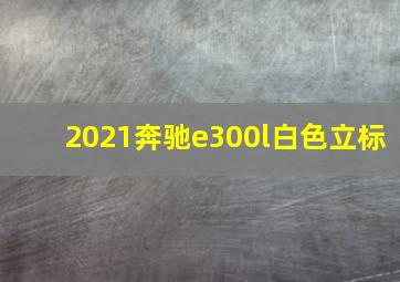 2021奔驰e300l白色立标