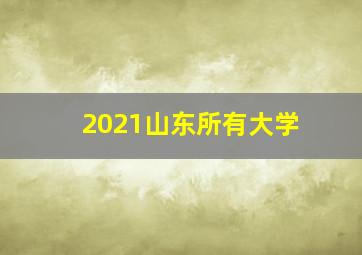 2021山东所有大学