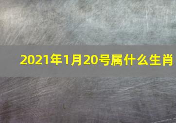 2021年1月20号属什么生肖