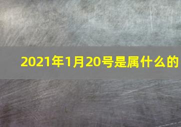 2021年1月20号是属什么的