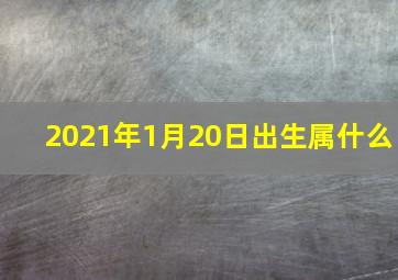 2021年1月20日出生属什么