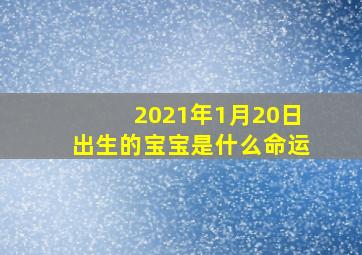 2021年1月20日出生的宝宝是什么命运