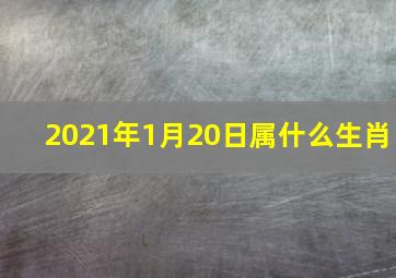 2021年1月20日属什么生肖