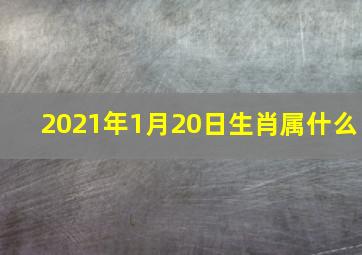 2021年1月20日生肖属什么