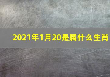 2021年1月20是属什么生肖