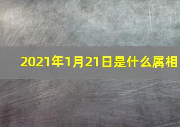 2021年1月21日是什么属相