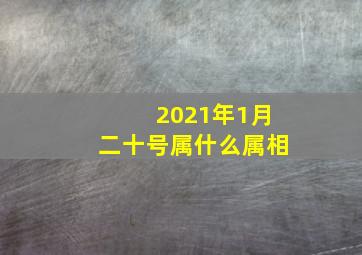 2021年1月二十号属什么属相