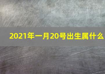 2021年一月20号出生属什么