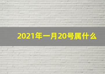 2021年一月20号属什么