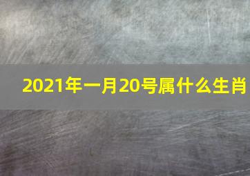 2021年一月20号属什么生肖