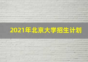 2021年北京大学招生计划