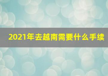 2021年去越南需要什么手续