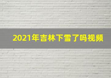 2021年吉林下雪了吗视频