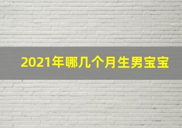 2021年哪几个月生男宝宝