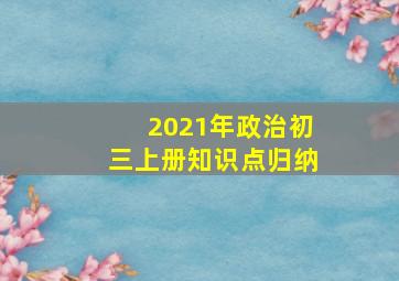 2021年政治初三上册知识点归纳