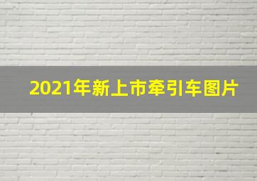 2021年新上市牵引车图片