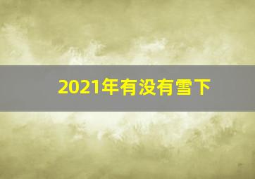 2021年有没有雪下