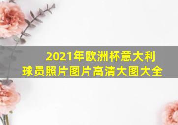 2021年欧洲杯意大利球员照片图片高清大图大全