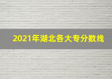 2021年湖北各大专分数线