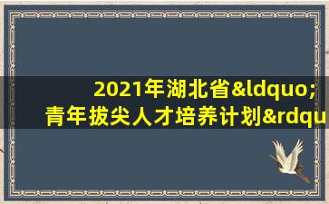 2021年湖北省“青年拔尖人才培养计划”