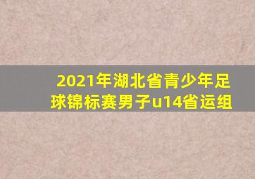 2021年湖北省青少年足球锦标赛男子u14省运组