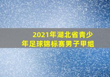 2021年湖北省青少年足球锦标赛男子甲组