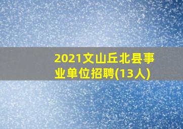 2021文山丘北县事业单位招聘(13人)