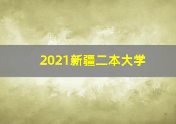 2021新疆二本大学