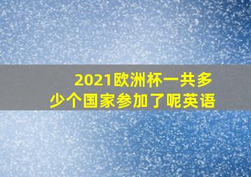 2021欧洲杯一共多少个国家参加了呢英语