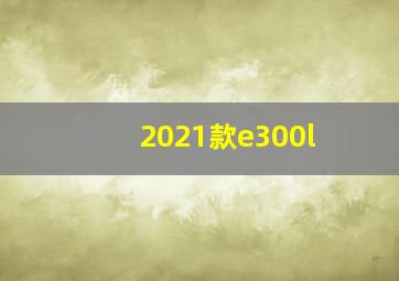 2021款e300l