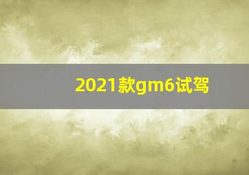 2021款gm6试驾