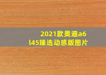 2021款奥迪a6l45臻选动感版图片