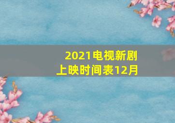 2021电视新剧上映时间表12月