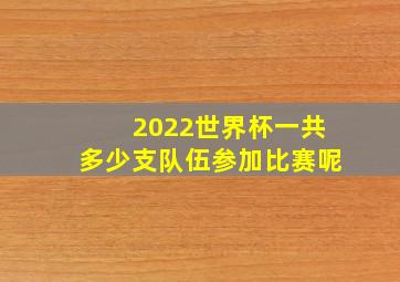 2022世界杯一共多少支队伍参加比赛呢