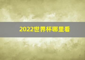 2022世界杯哪里看