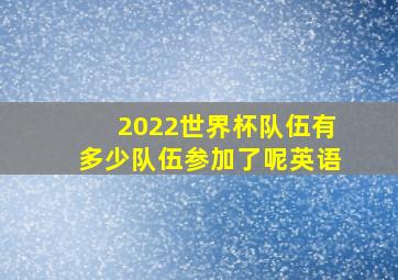 2022世界杯队伍有多少队伍参加了呢英语